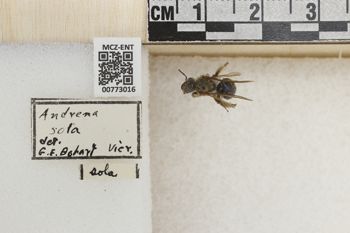 Media type: image;   Entomology 773016 Aspect: Labels